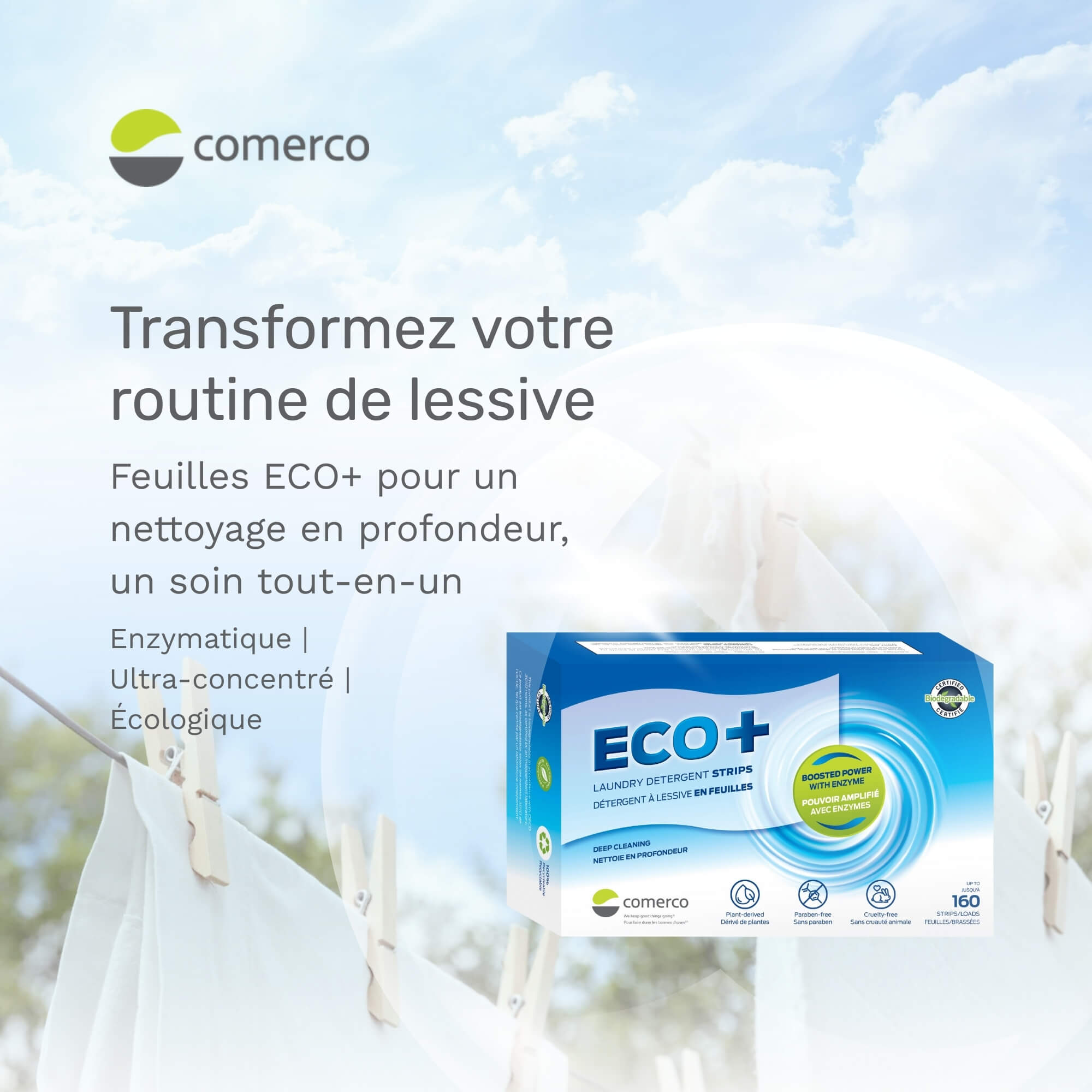 detergent-lessive-feuille-enzymes-ecologiques.jpg