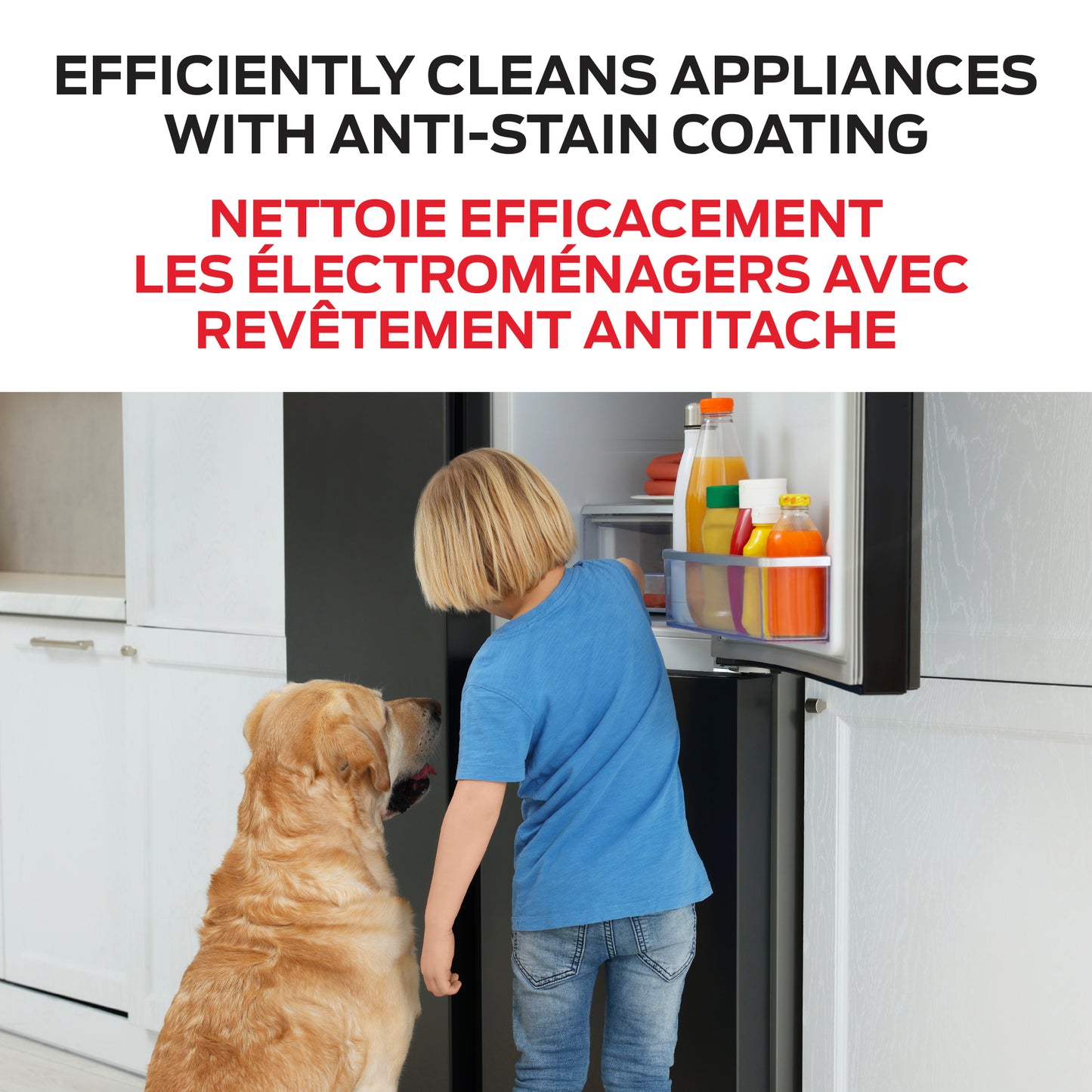 Appliances Cleaner - For all Types of Finishes, Glass and Screens - 700 mL